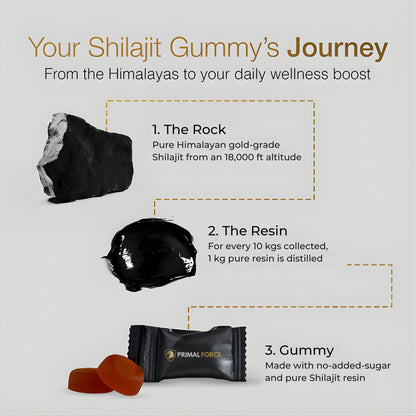 Primal Force® Shilajit Gold Gummies