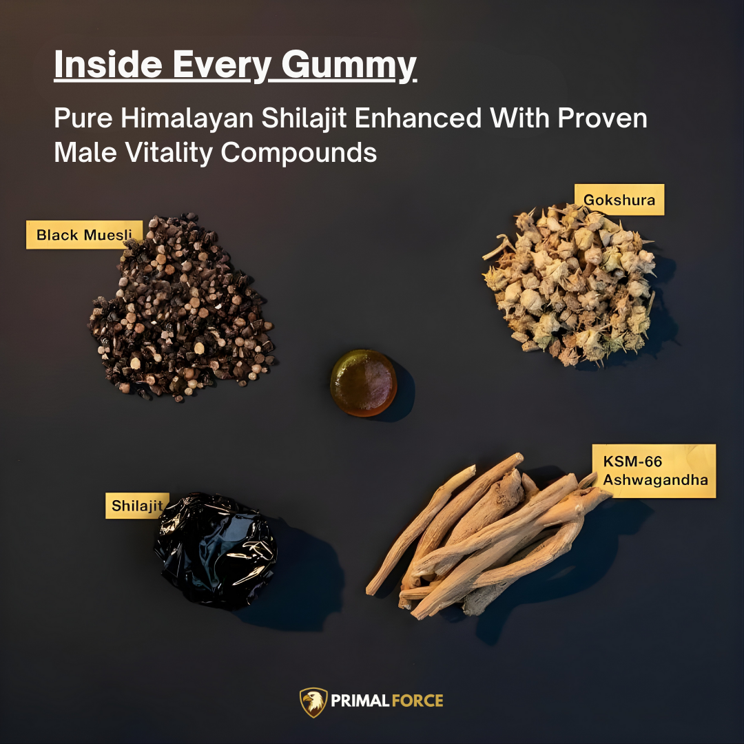 Primal Force® Shilajit Gold Gummies